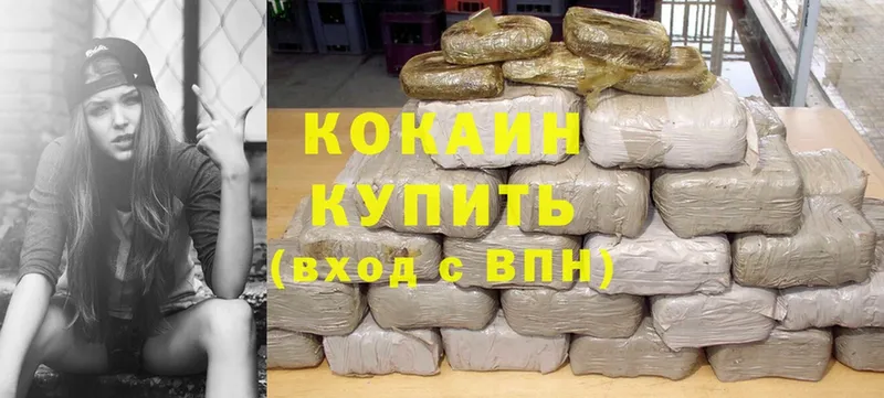 купить наркотики цена  Великий Устюг  Cocaine Fish Scale 